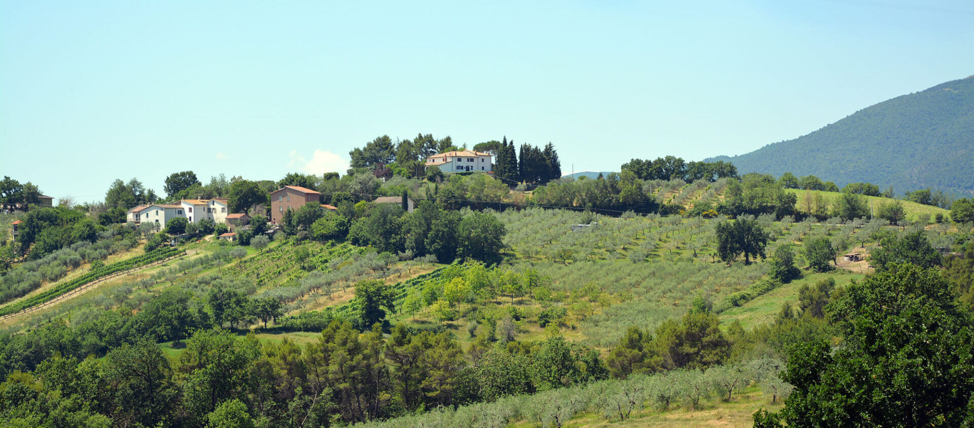 PANORAMA-02-casale-fusco