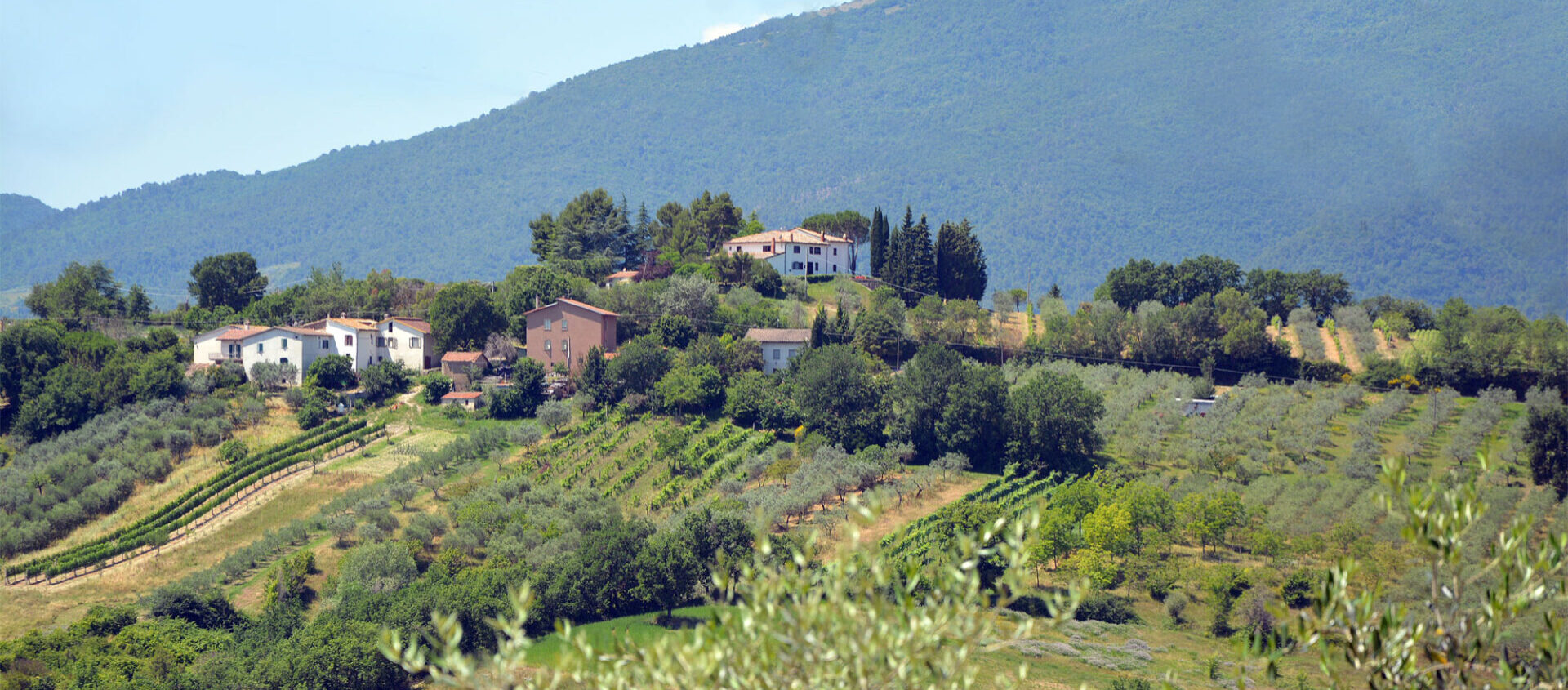 PANORAMA-casale-fusco