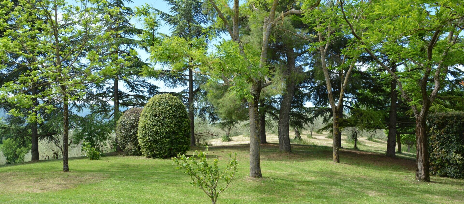 giardino-002
