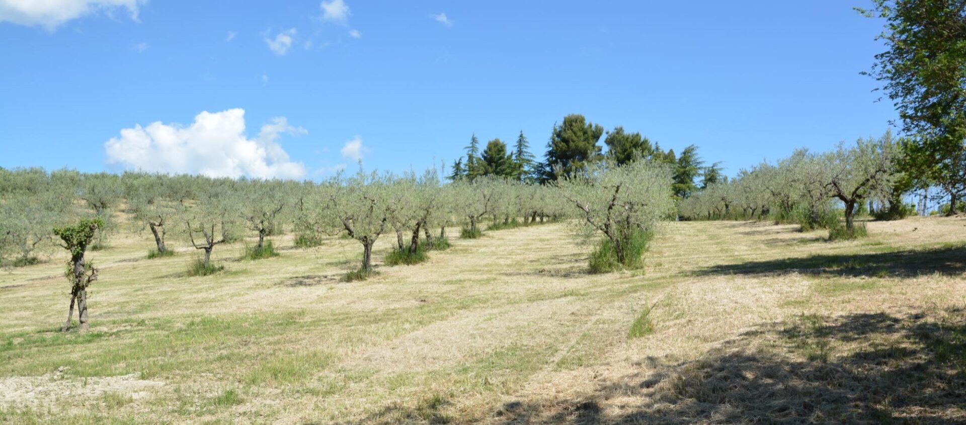slide-azienda-008